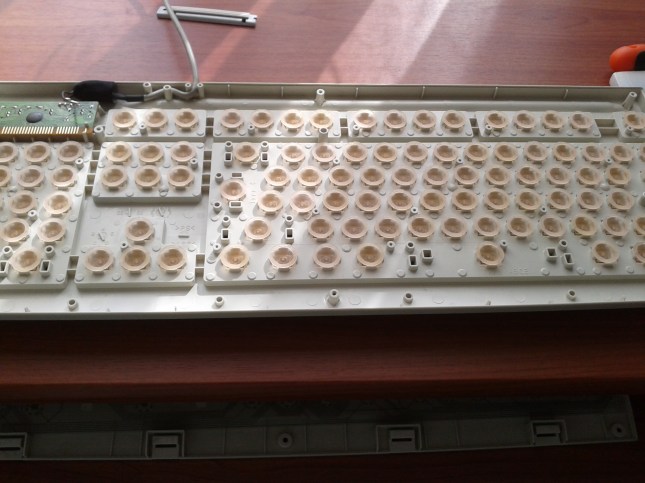 Tuşların arkasındaki zıpzıplar