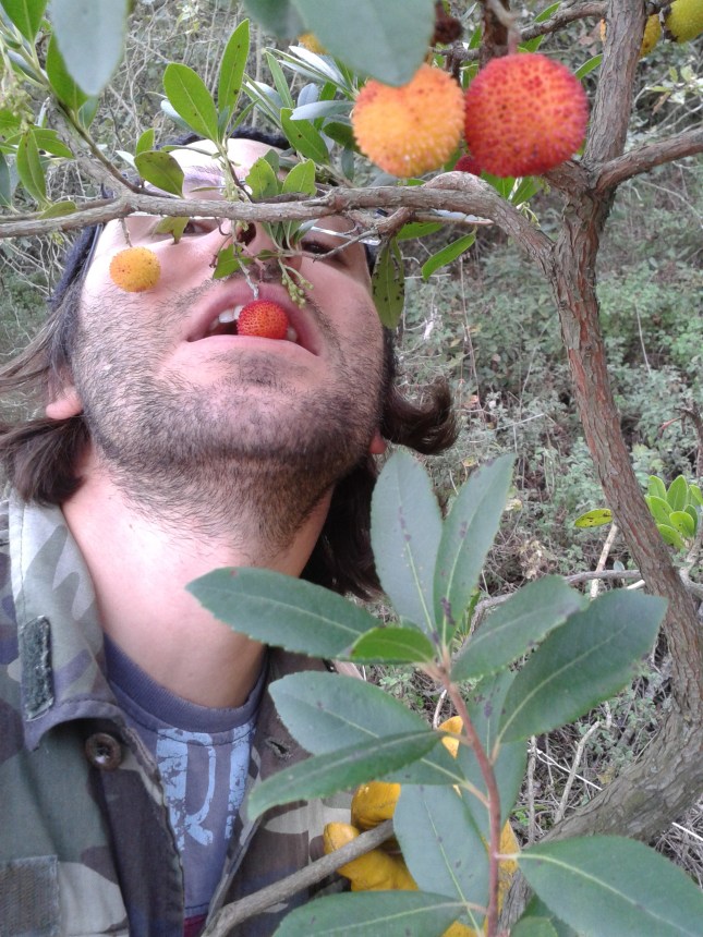 Dağ çileği, kesinlikle el değmeden...